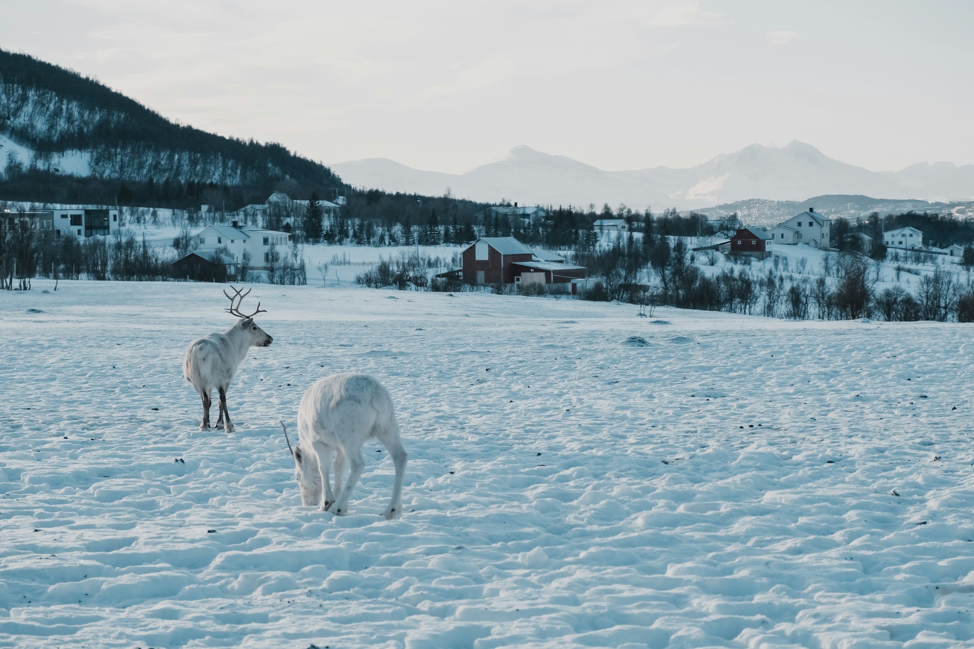 Tromso